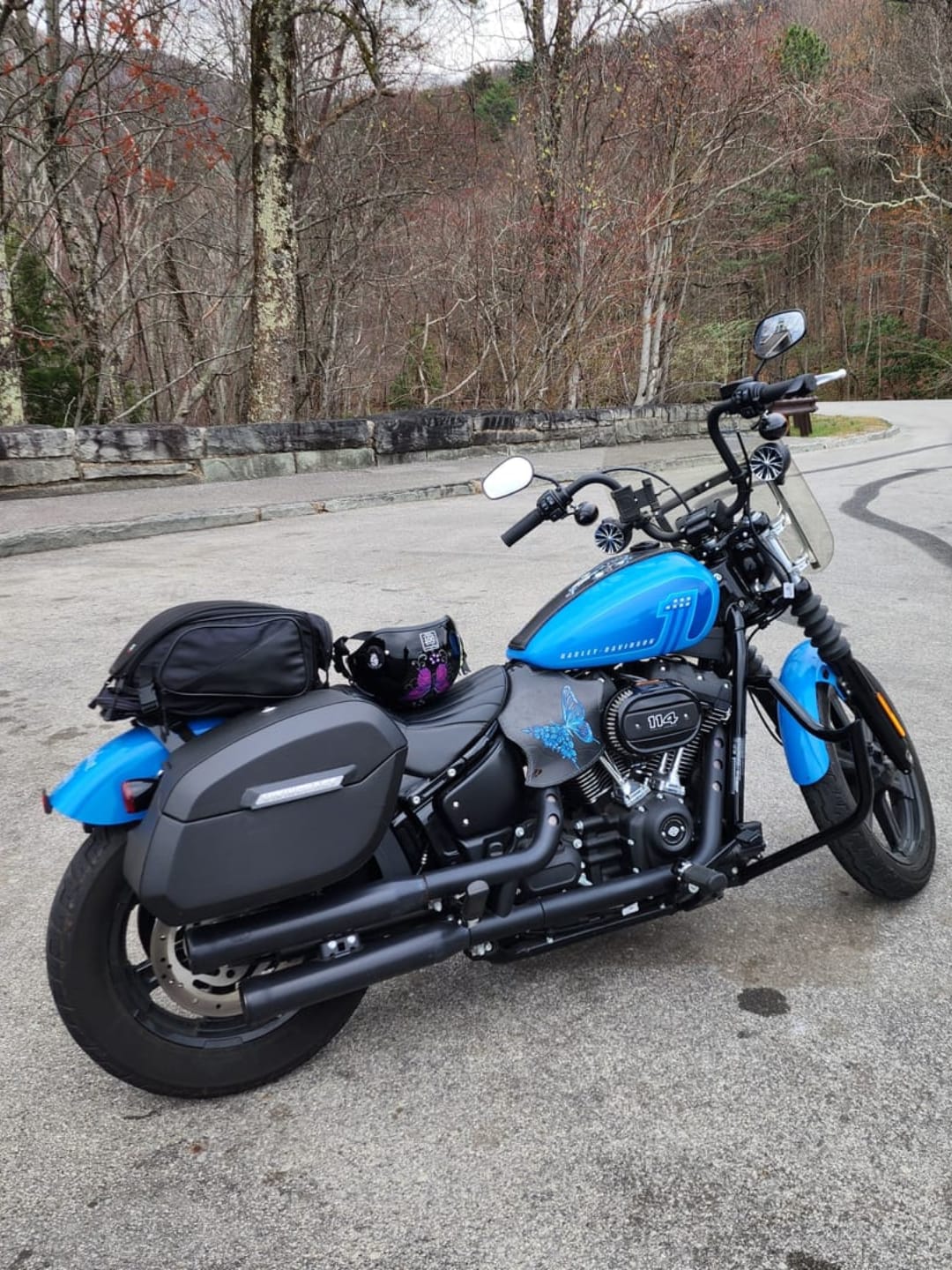 Customer photo review of 32L - Darkin Large Quick Mount Leather Wrapped Hard Saddlebags for Harley Softail Street Bob FXBB/S
