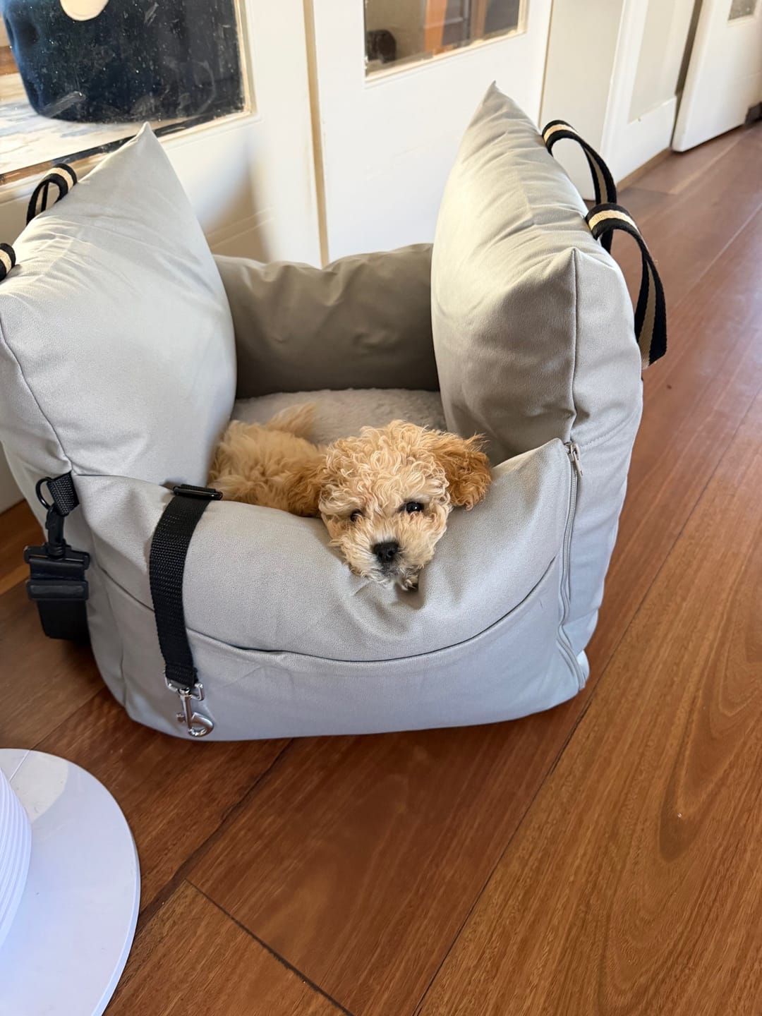 Customer photo review of Boujee Booster