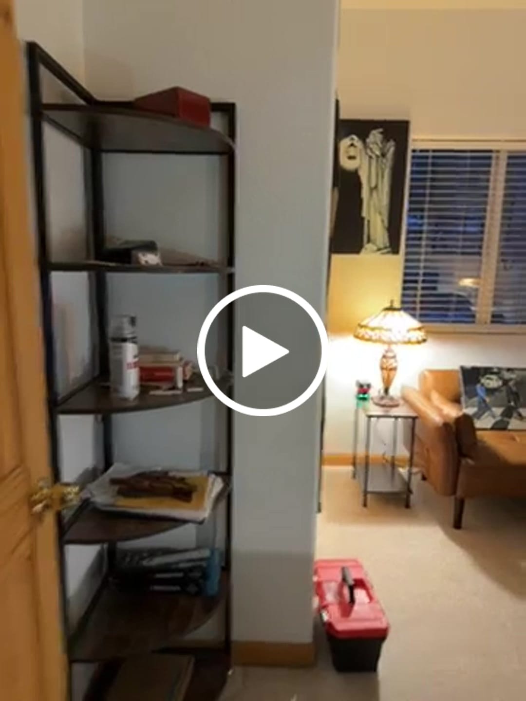 Customer video review of Abbey Road Wall Art