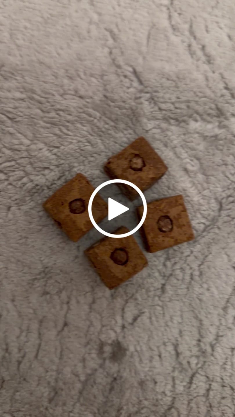 Customer video review of 🔮 Magic Hasch Brownies - POWER LVL: 5/5