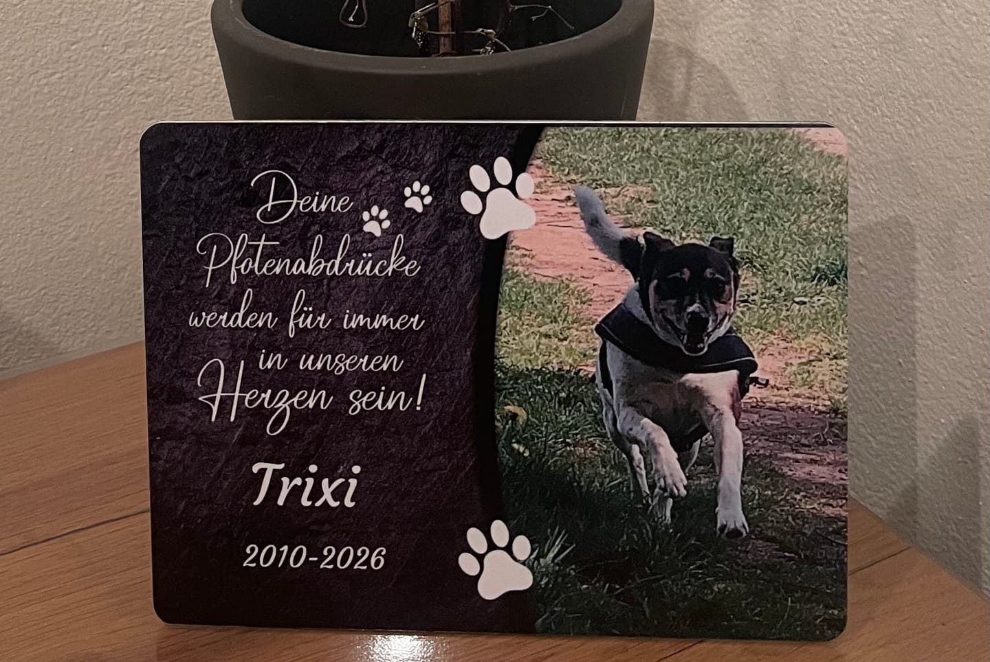 Customer photo review of Hunde Gedenktafel mit Foto & Spruch (UV- & Wetterfest)