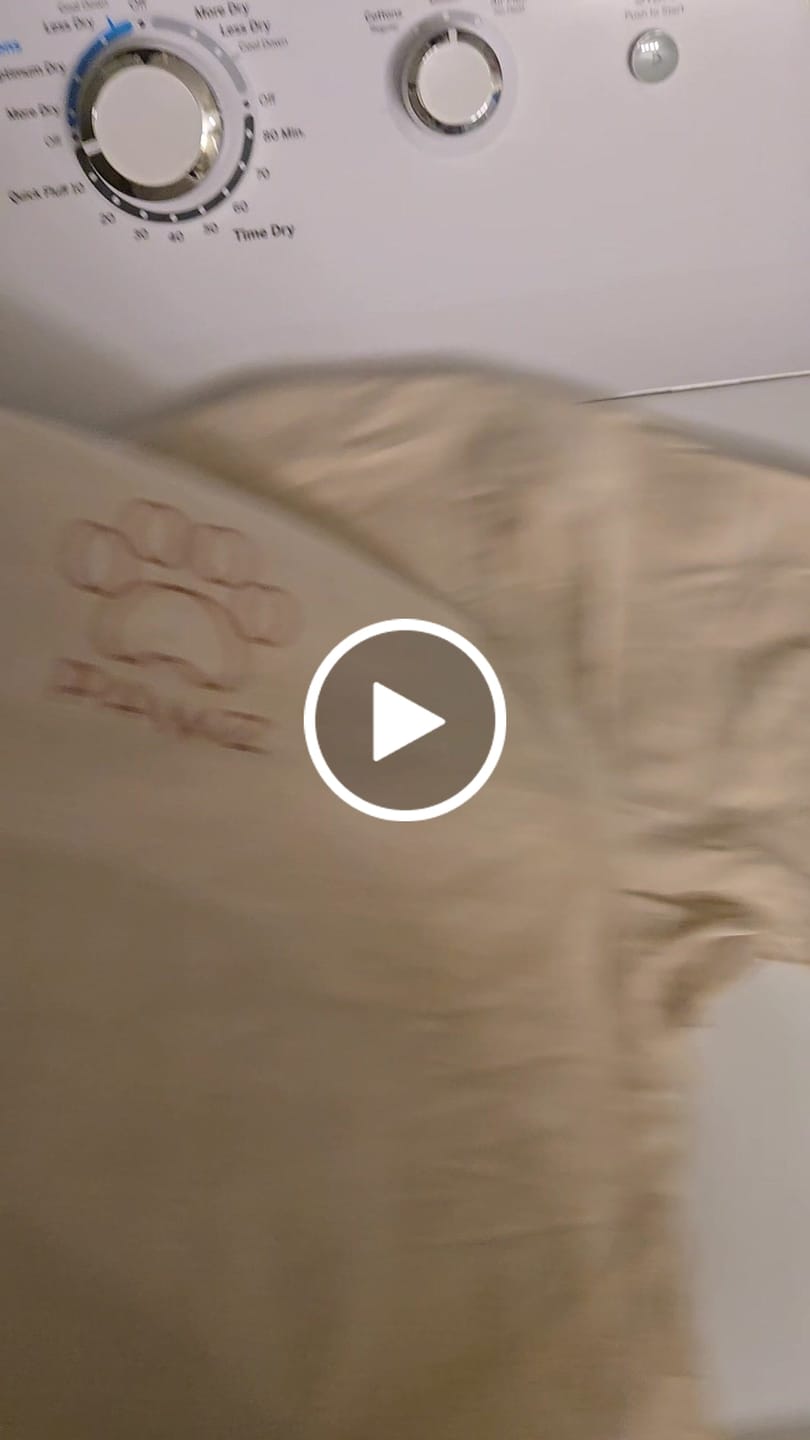 Customer video review of Together Forever - Paragon (Adult Short Sleeve T-Shirt) Limited Edition