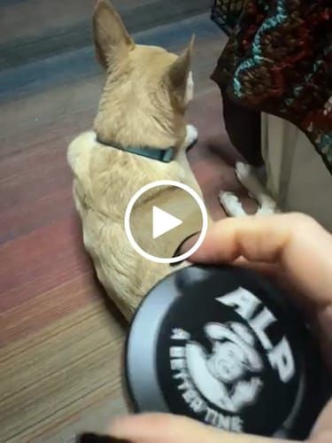 Customer video review of Sweet Nectar Nicotine Pouches