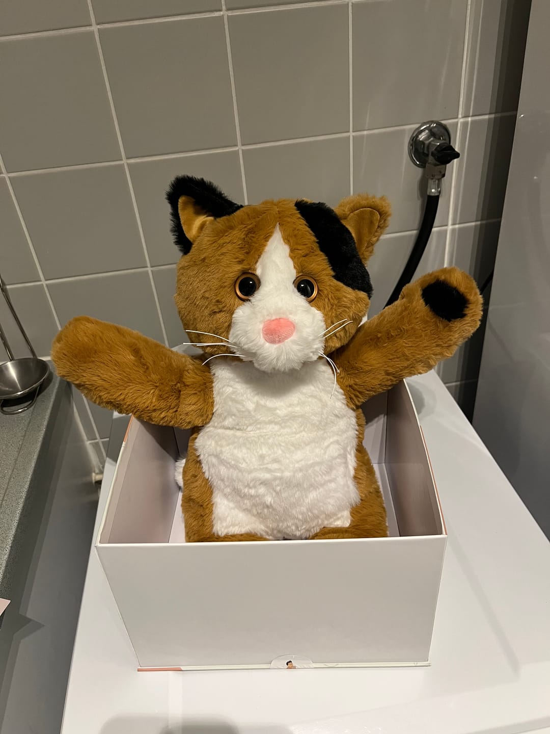 Customer photo review of Verzwaringsknuffel Kat 2,2 kg + Gratis Pittenzakje