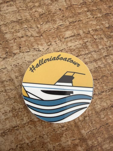 Customer photo review of PROMO - Sticker Vinile Classici