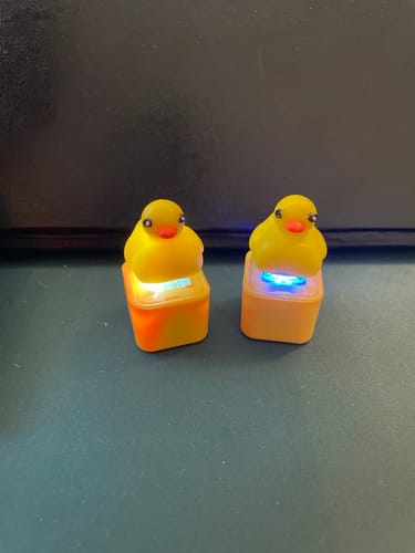Customer photo review of 2x Quaking Sound Duck Fidget Keychain