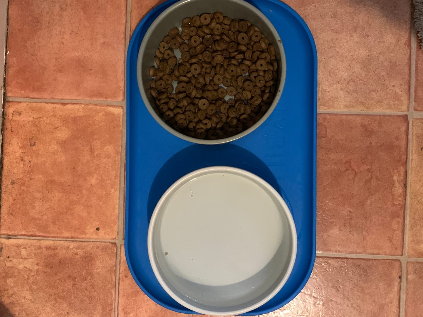 Customer photo review of Dog Bowl Non-Slip Protective Mat