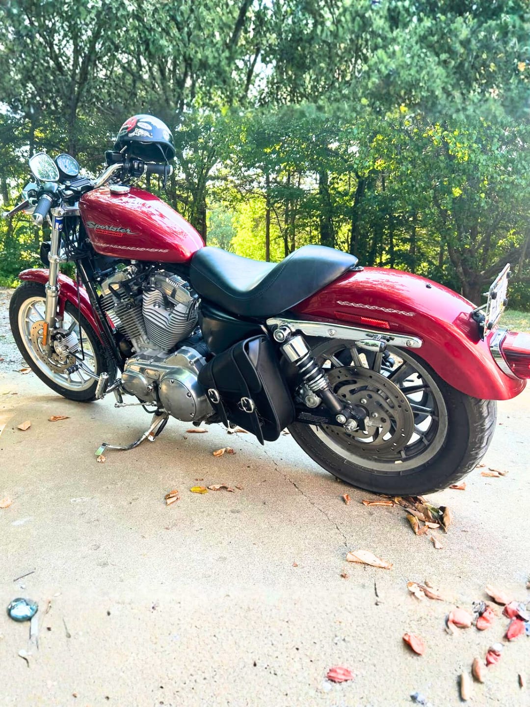 Customer photo review of 3L - Crafted Harley Sportster Specific Motorcycle Swing Arm Bag