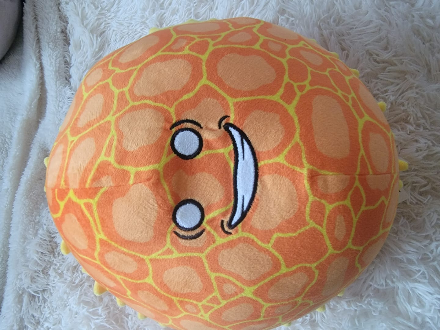 Customer photo review of The SolarBalls Sun Plush