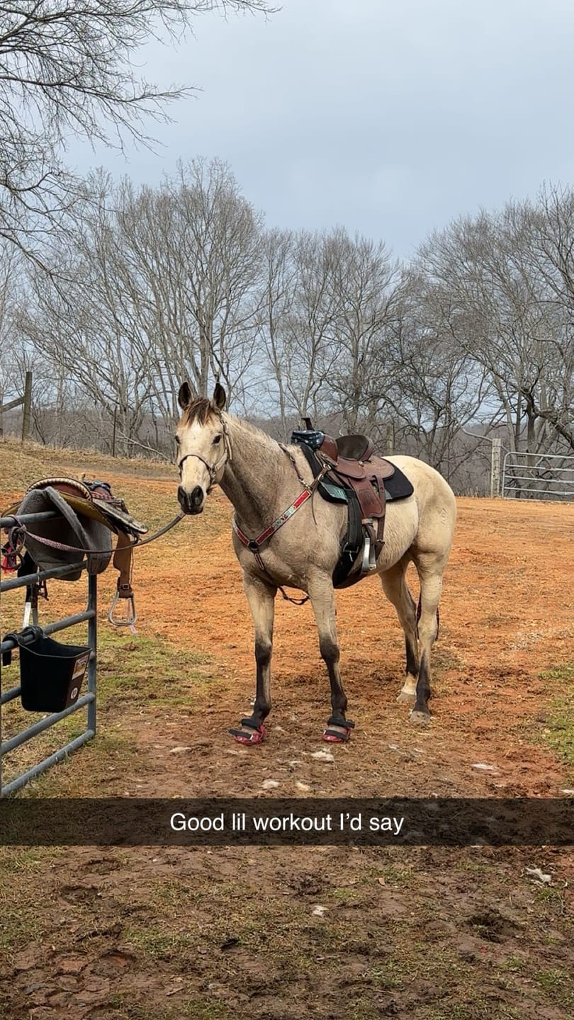 Customer photo review of Renegade® Viper Shield™ Hoof Boot - Dragon Fire Red