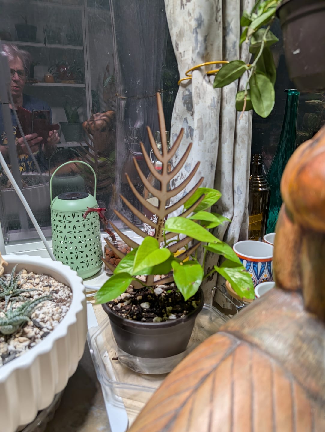 Customer photo review of BARE™ Palmella™ - Customizable wooden plant support - Inspired by the Palm leaf