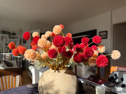 Customer photo review of Fleurs de Kiku - Mélange (20 tiges/ 100 pompons)