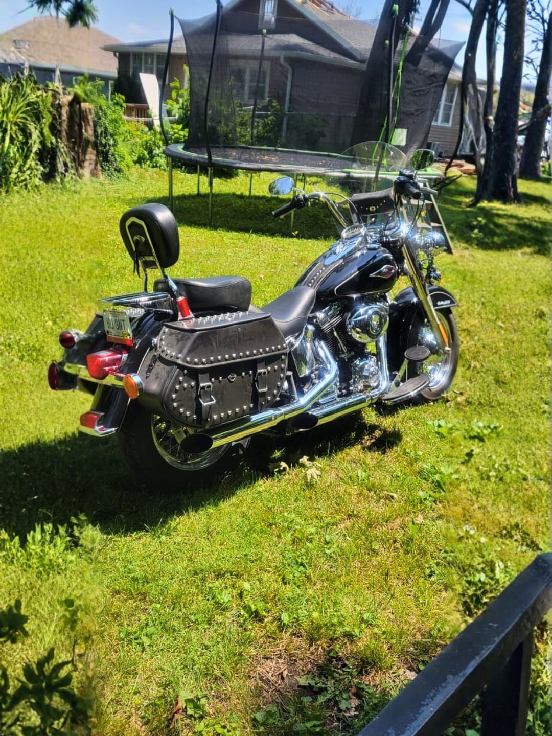 Customer photo review of 35L - Legacy Extra Large Studded Leather Motorcycle Saddlebags for Harley Softail Heritage FLSTC/I