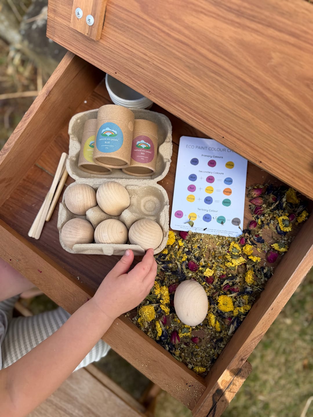 Customer photo review of Wooden Eggs in Cardboard Egg Carton
