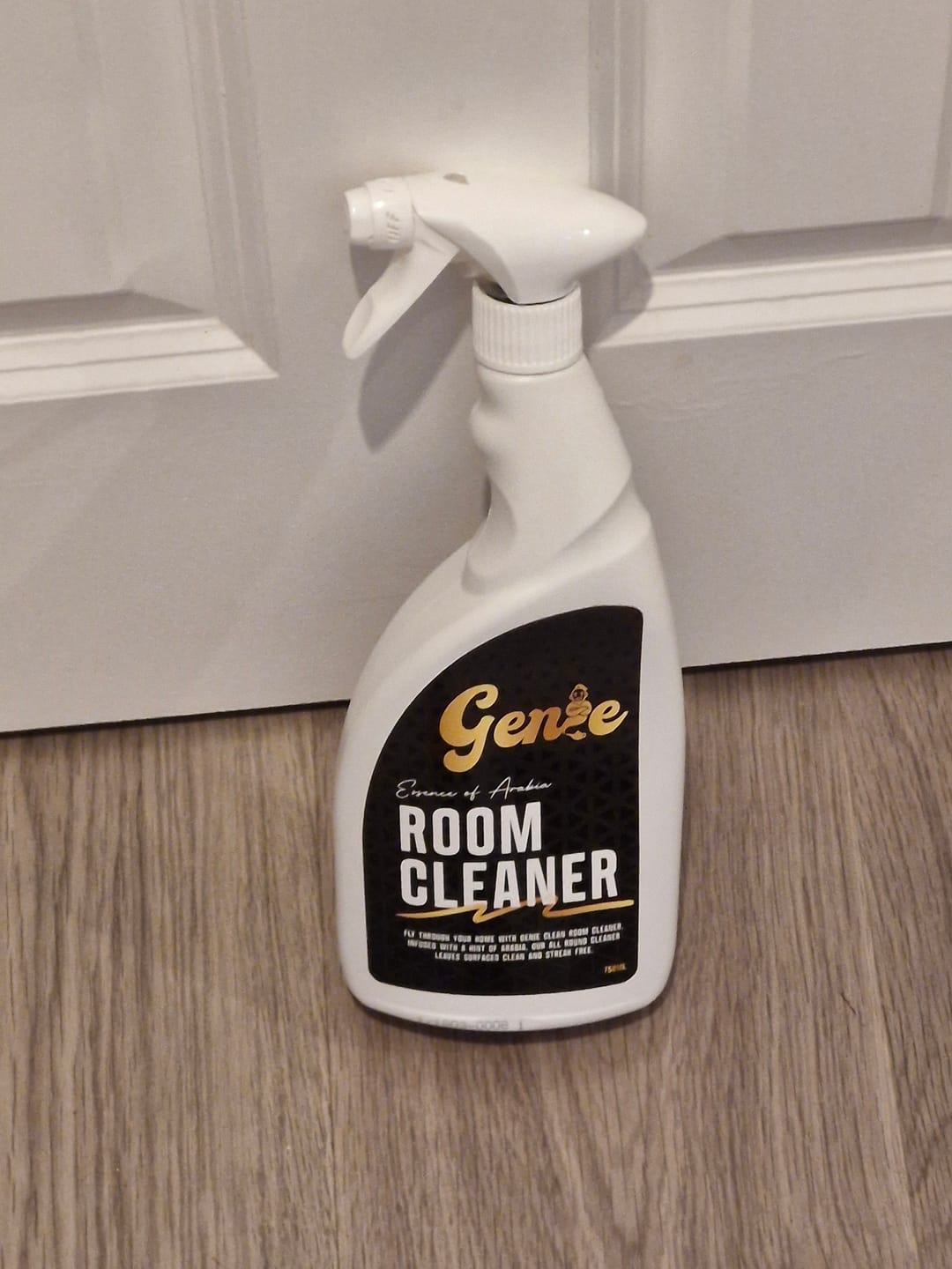 Customer photo review of Genie Room Cleaner