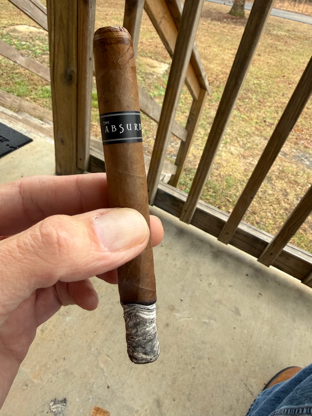 Customer photo review of The Absurd 2026