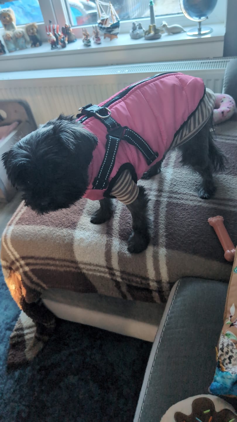 Customer photo review of PawShield - Honden Winterjas Winterjas Voor Hond