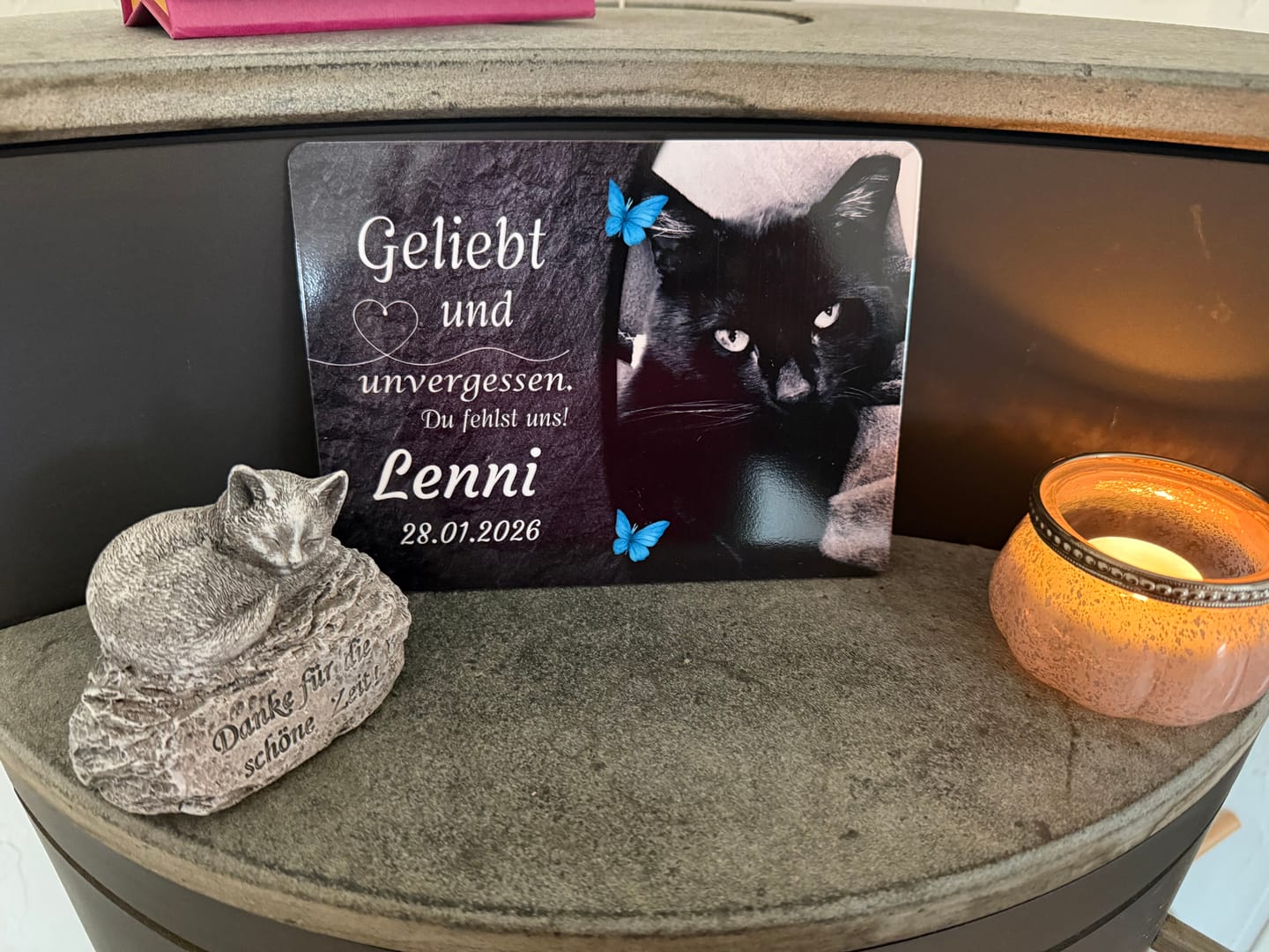 Customer photo review of Katzen Gedenktafel mit Foto & Spruch (UV- & Wetterfest)