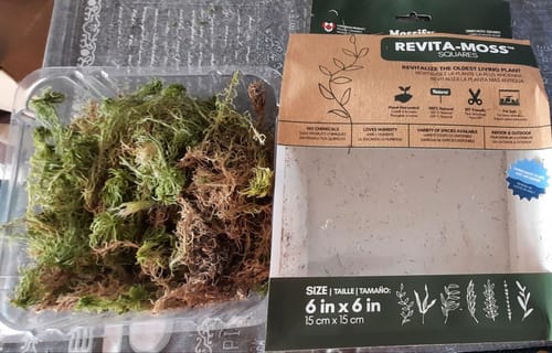 Customer photo of Natural Canadian Sphagnum Moss - Revita-Moss from Nataliia D.