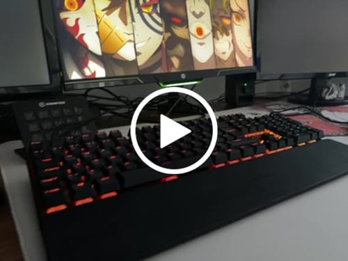 Customer video review of Demon Cry