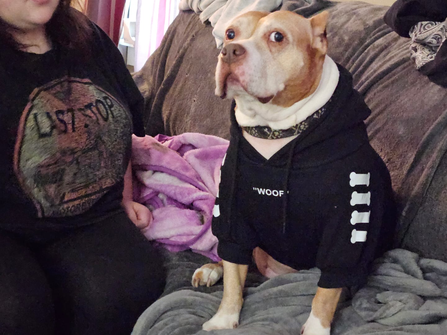 Customer photo review of "WOOF" Dog Hoodie - Black & Reflective