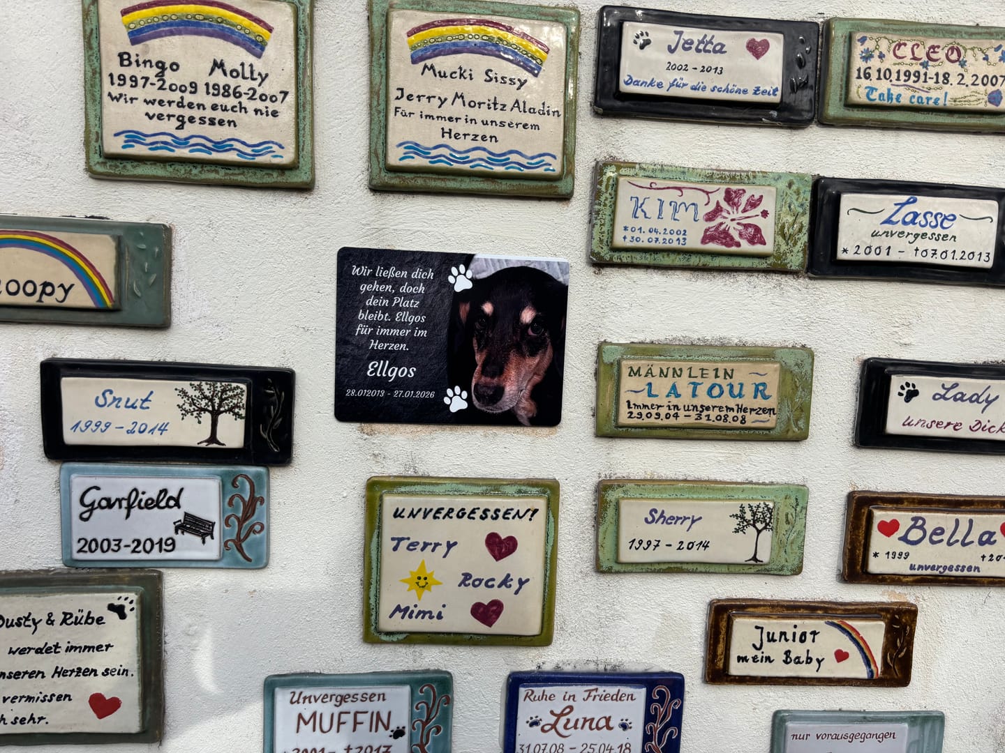 Customer photo review of Hunde Gedenktafel mit Foto & Spruch (UV- & Wetterfest)