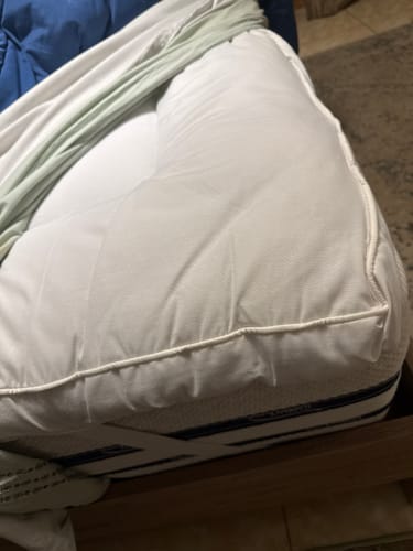 Customer photo review of Fiber Bed Pillow