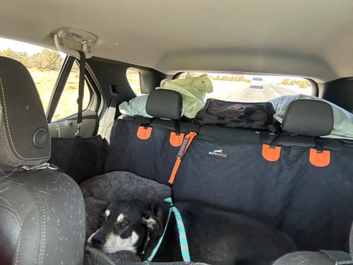 Customer photo review of RuffRover 2.0™ - Hard Bottom Dog Car Seat Protector