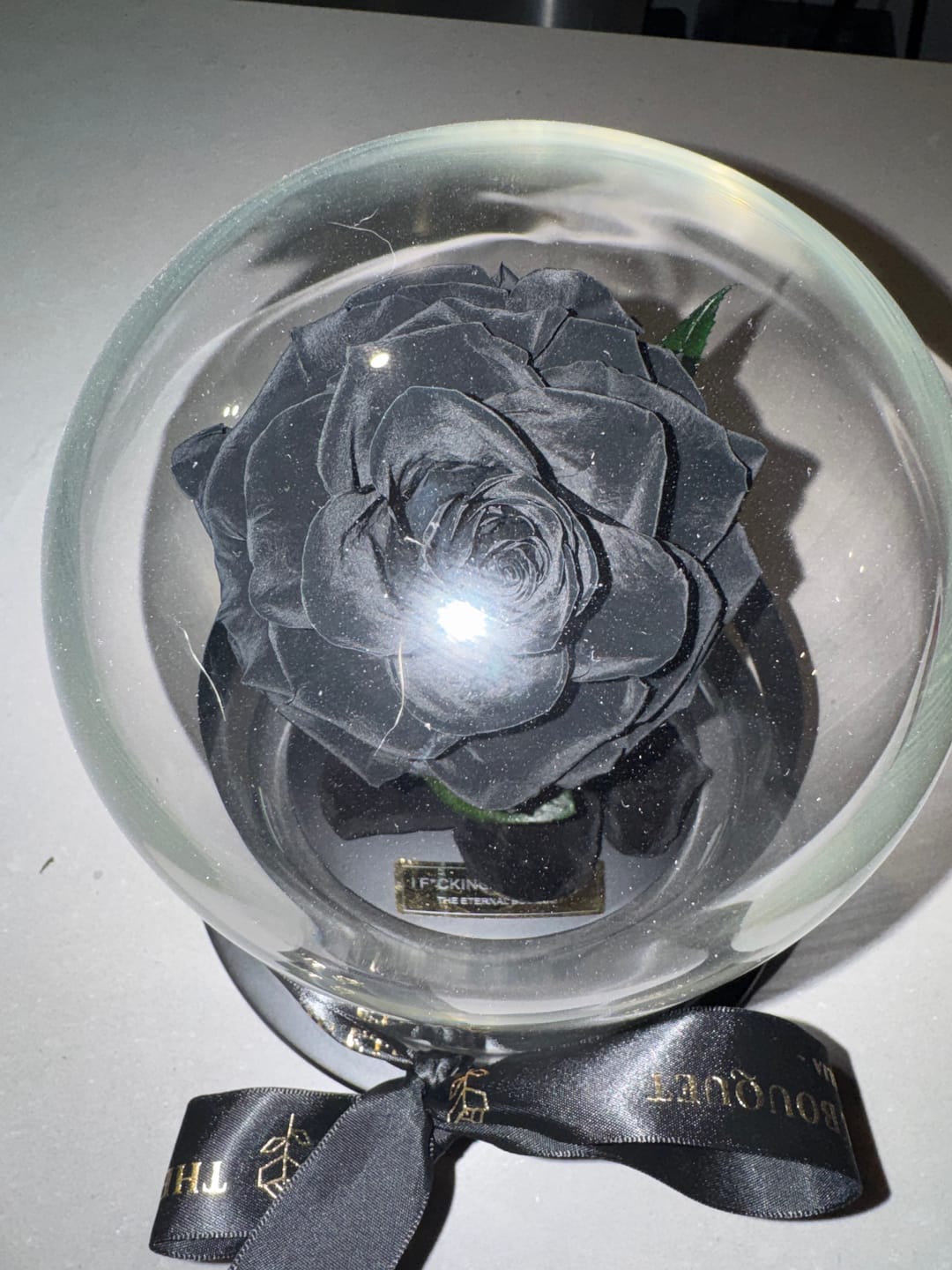 Customer photo review of The Enchanted Mini - Black