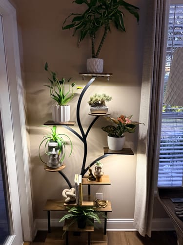 Customer photo review of 63" Indoor Plant Stand with Grow Lights