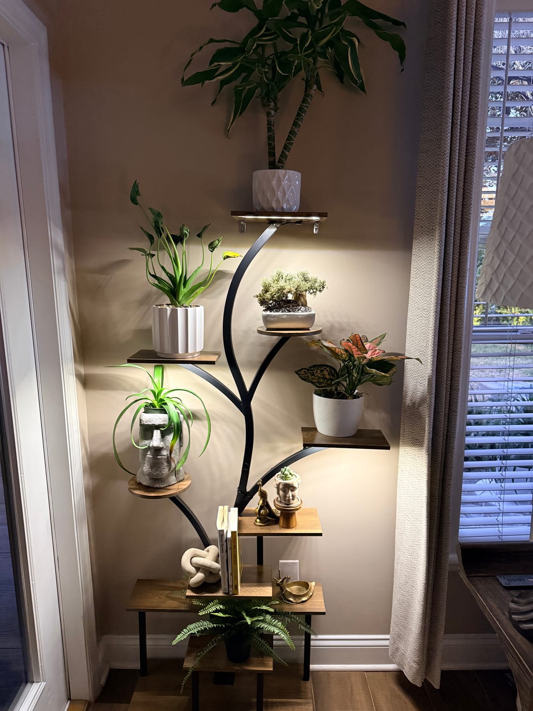 Customer photo review of 63" Indoor Plant Stand with Grow Lights