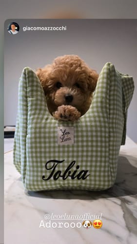 Customer photo review of Borsa Cotone Vichy Verde Pistacchio