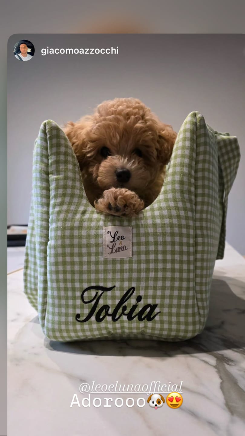 Customer photo review of Borsa Cotone Vichy Verde Pistacchio