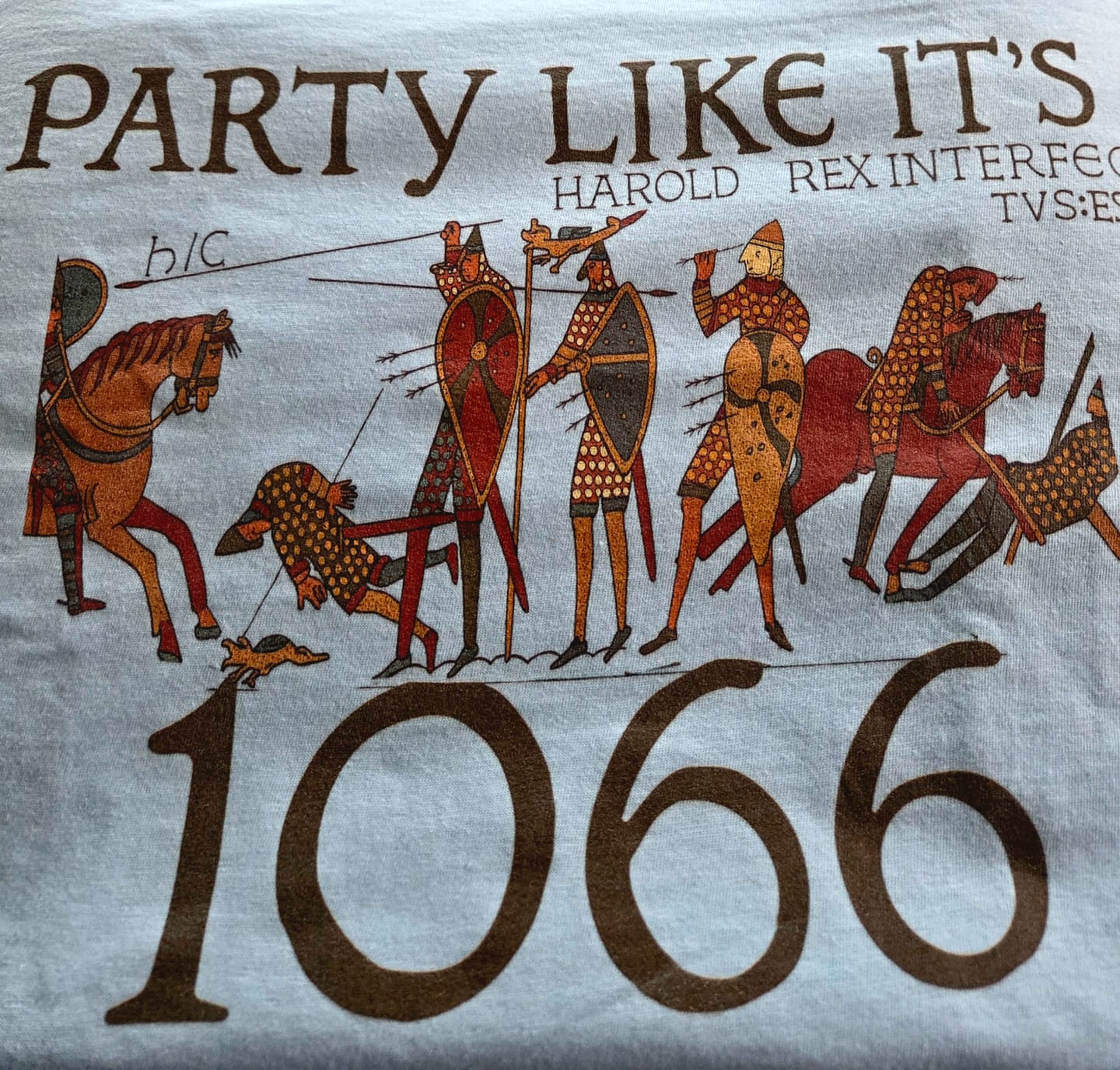 Customer photo review of Party Like It's 1066 Knights from Bayeux Tapestry T-Shirt