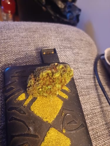Customer photo review of Cheap THCA Flower Ounce