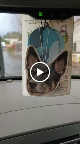 Customer video review of Custom Air Freshener