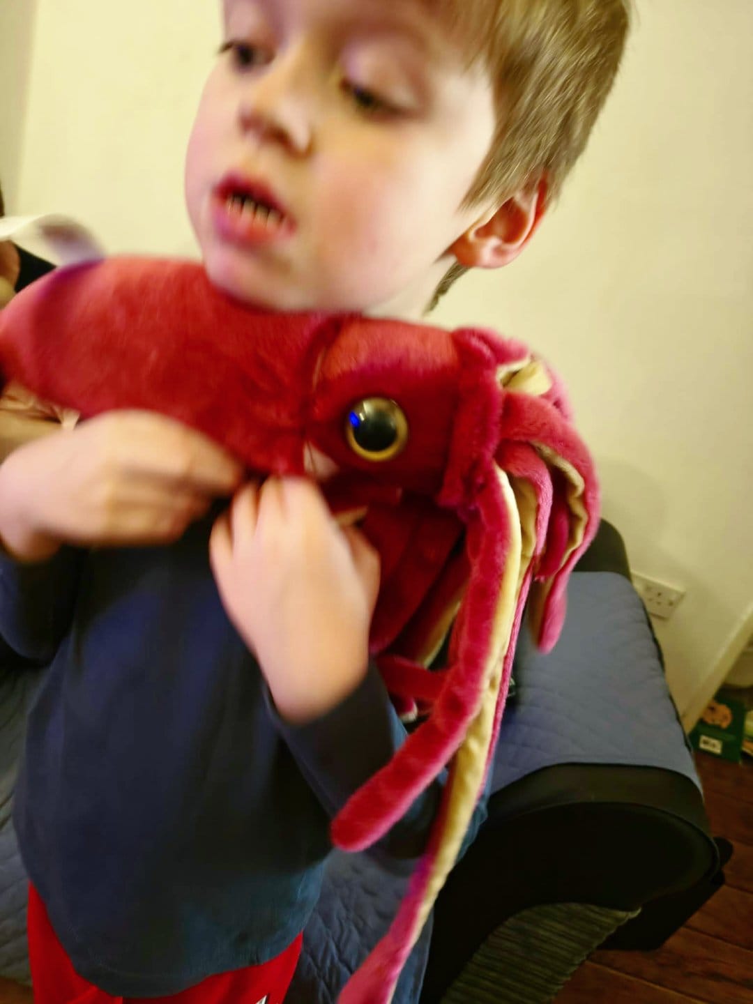 Customer photo review of Giant Squid Soft Stuffed Plush Toy