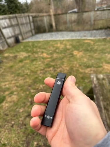 Customer photo review of 3pc Flavor Pack of 1 Gram THC-P Blend Vape Pen