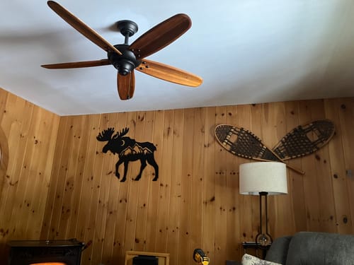 Customer photo review of Moose - Metal Wall Art