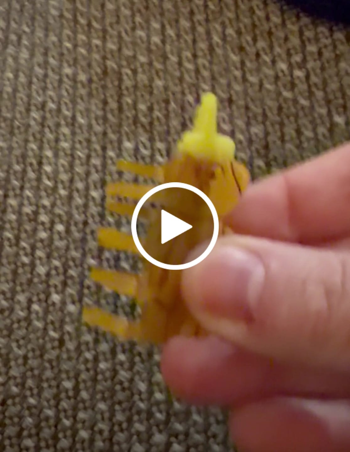 Customer video review of Mini Honey Bear Hair Claw Clip
