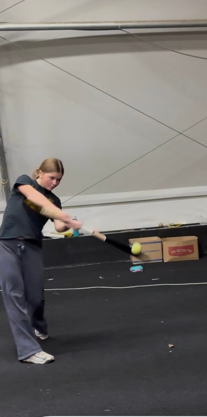 Customer photo review of Heavy Half Bat
