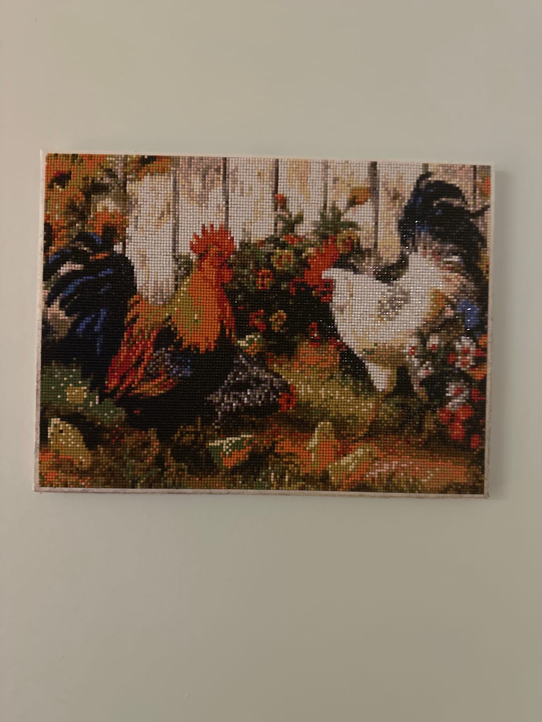 Customer photo review of Chickens - Premium Diamond Painting Kit