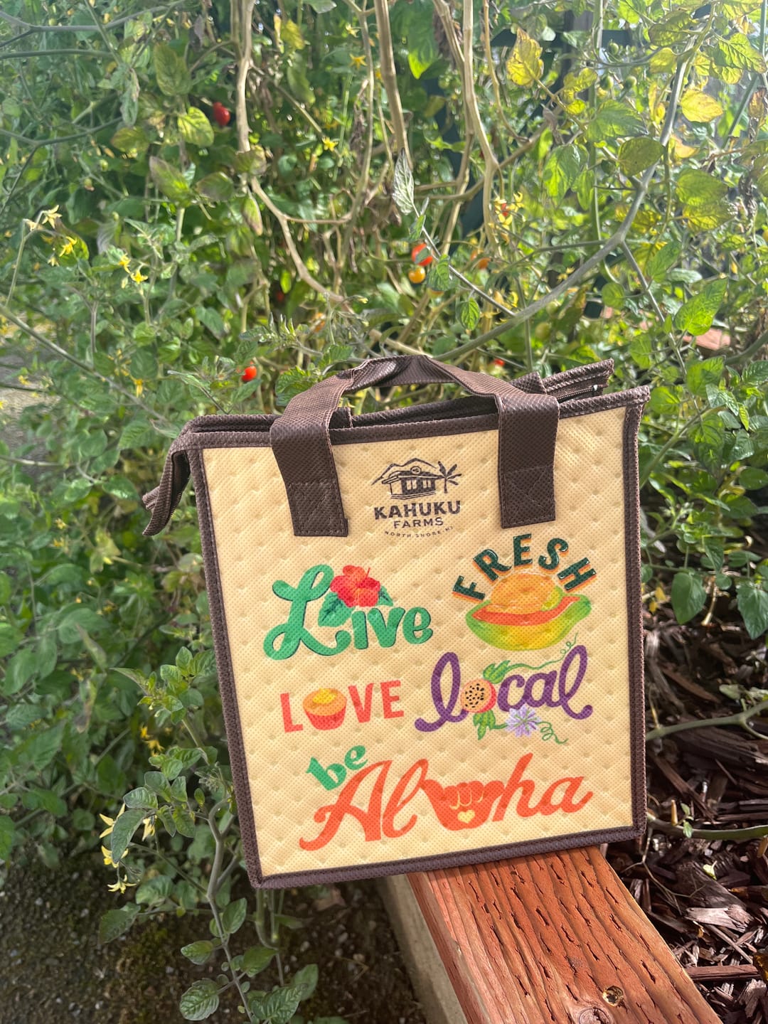 Customer photo review of Farm Lunch Tote