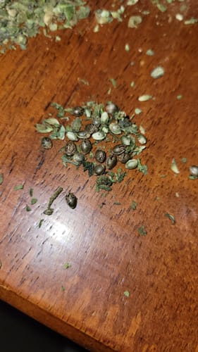 Customer photo review of Shipping Protection by Route