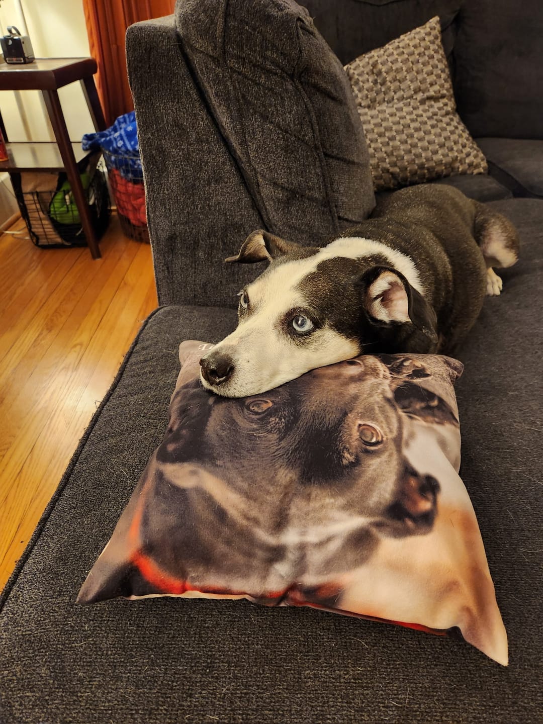 Customer photo review of Custom Photo Pillow with Your Dog Photos, Print Pet Photo on Pillow