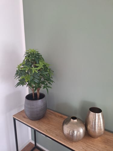 Customer photo review of Pachira Kunstplant 70cm