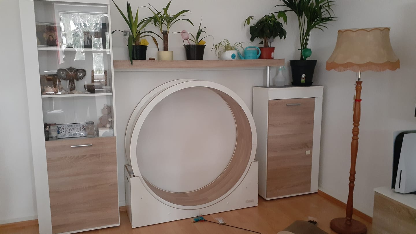 Customer photo review of Elmato Katzenlaufrad Simba