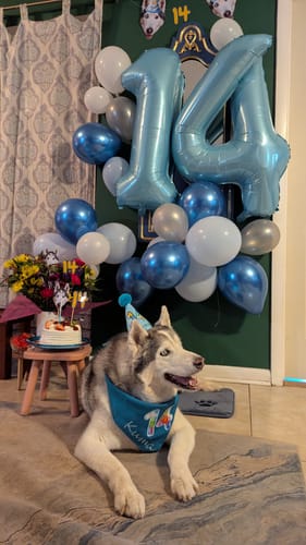 Customer photo review of Lite Personalized Dog Party Pack