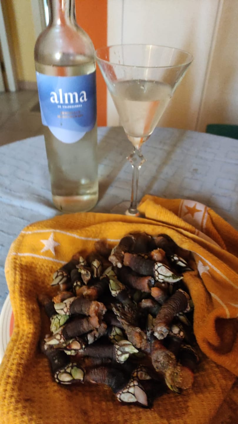 Customer photo review of Percebe