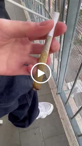 Customer video review of ROLLZ THCA Vape – approx. 800 puffs (90/10) | 2ml